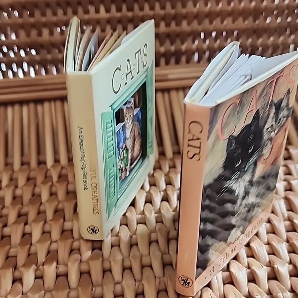 Two Mini Cat Books - Picture 5 of 12